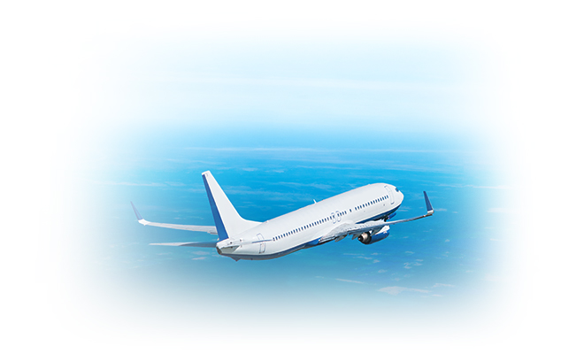 航空集团人力资源管理咨询项目