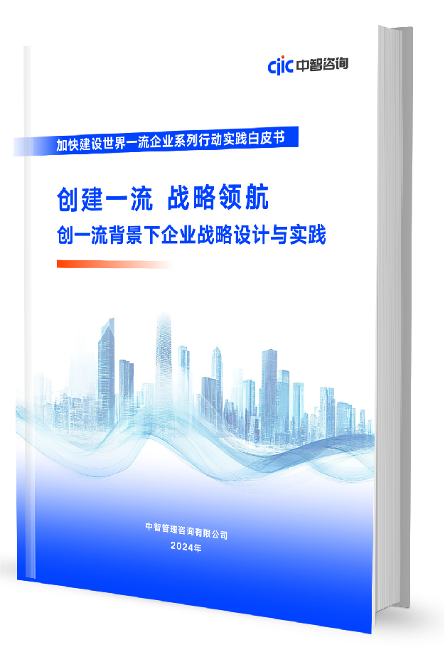 中智咨询《创建一流 战略领航：创一流背景下企业战略设计与实践报告》