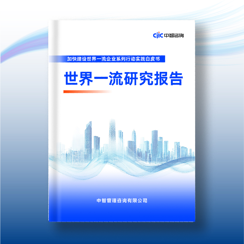 中智咨询《创建一流 战略领航：创一流背景下企业战略设计与实践报告》