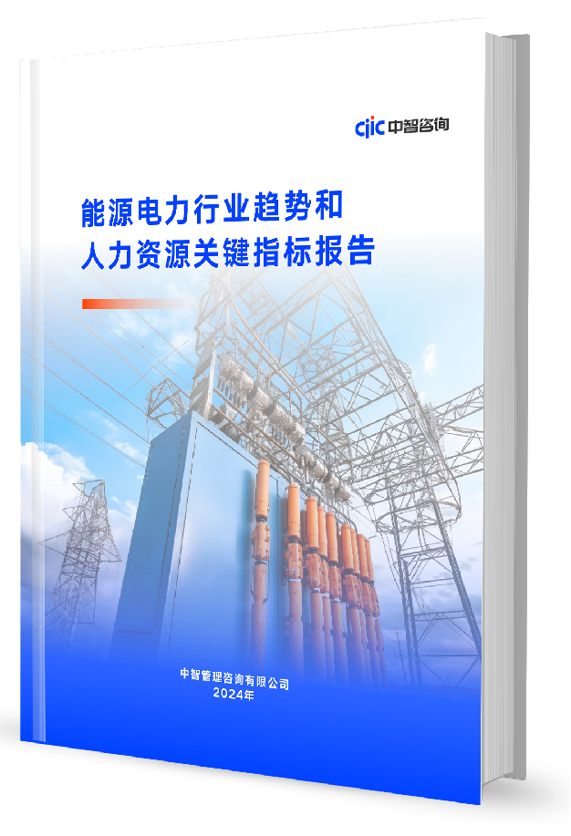 中智咨询《2023年能源电力行业趋势和人力资源关键指标报告》
