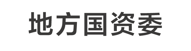 为相关国家部委和各地政府的智力支持机构