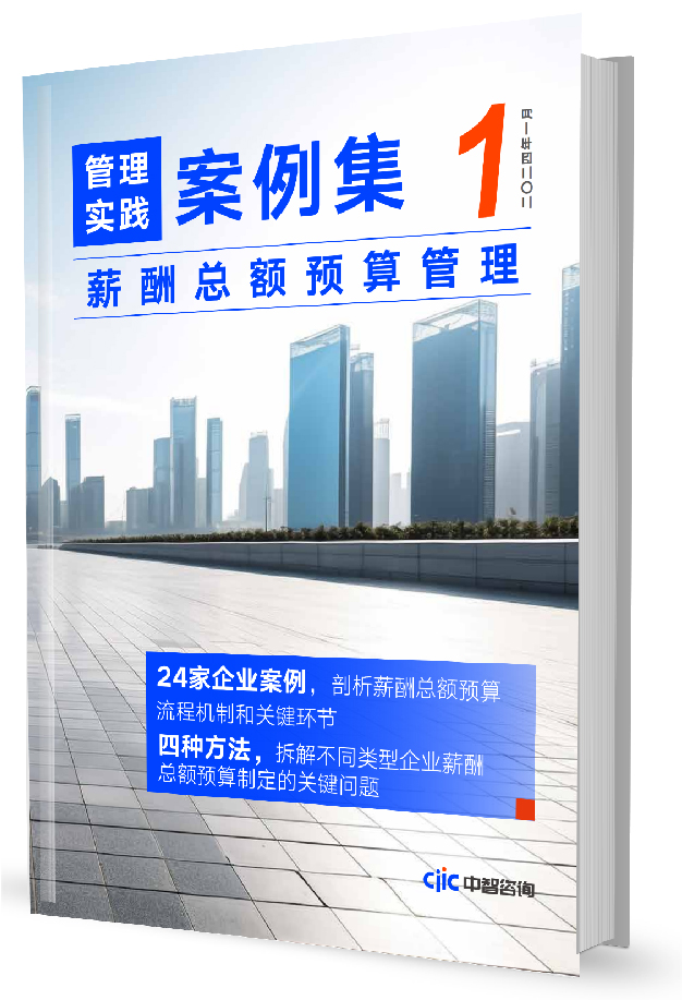 中智咨询《管理实践案例集》第1期：薪酬总额预算管理