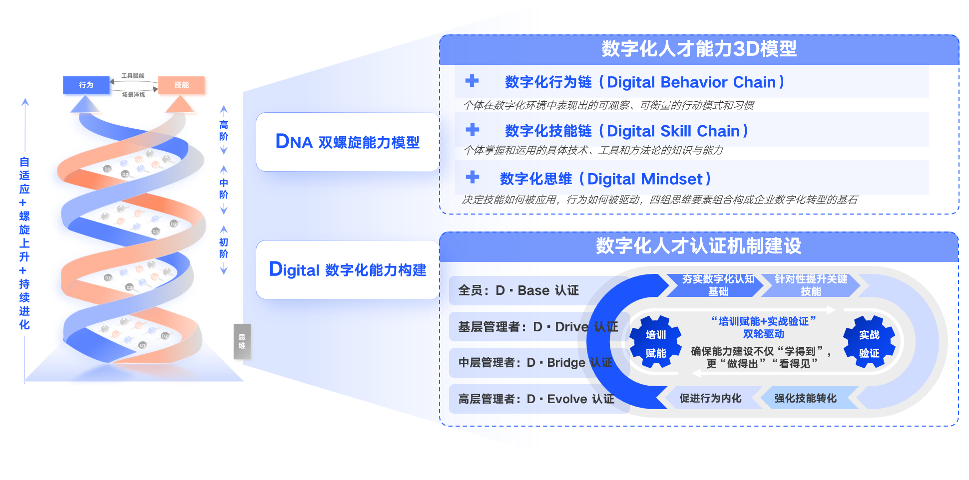 AI+管理人才队伍建设