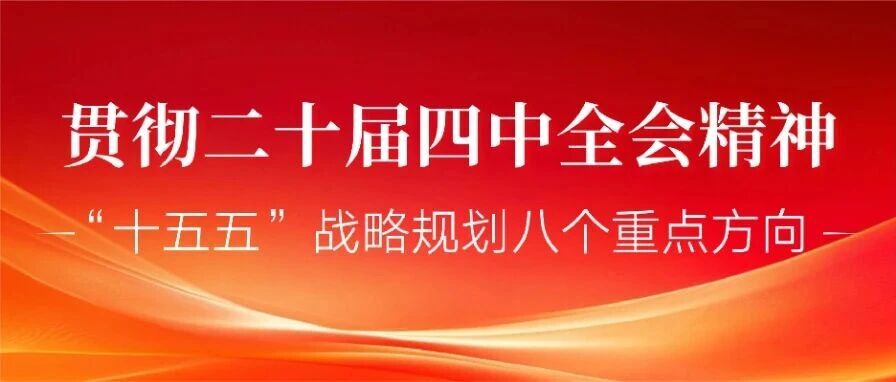 十五五战略规划八个重点方向