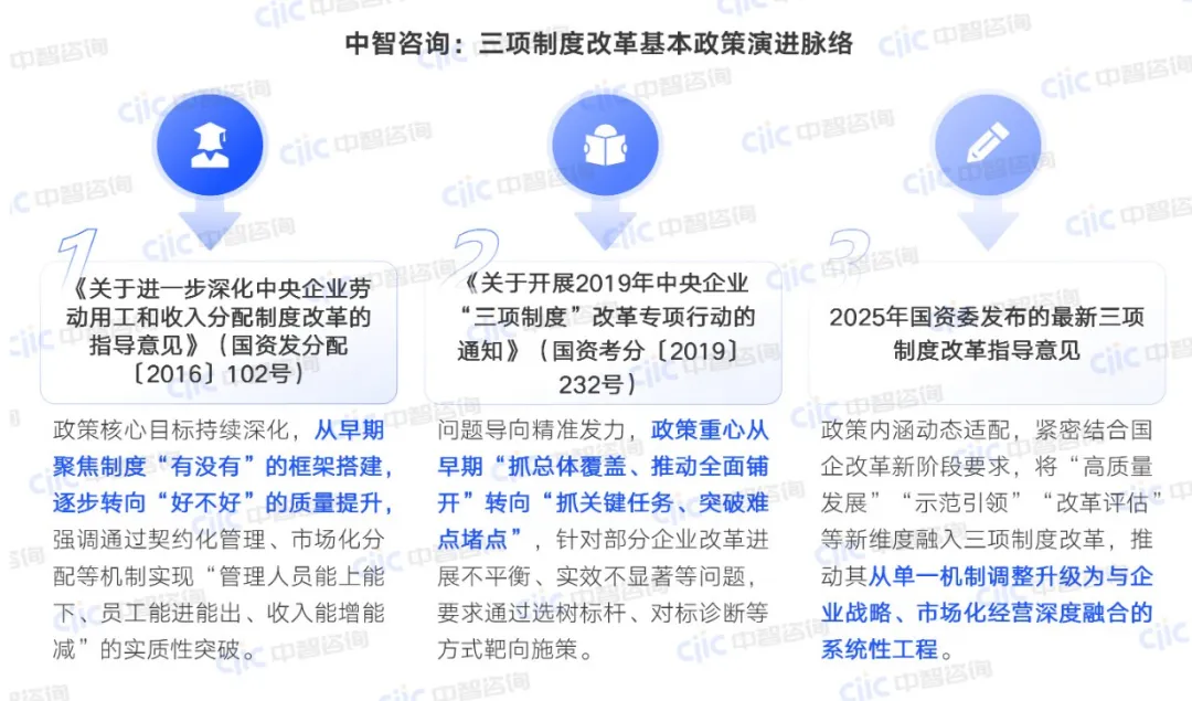 三项制度改革基本政策