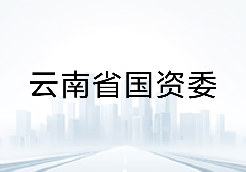 云南省国资委召开省属企业“十五五”规划编制工作推进会，中智咨询受邀做专题培训