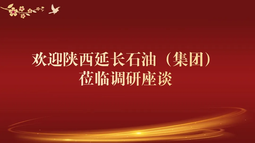 中智咨询十五五战略规划专题座谈