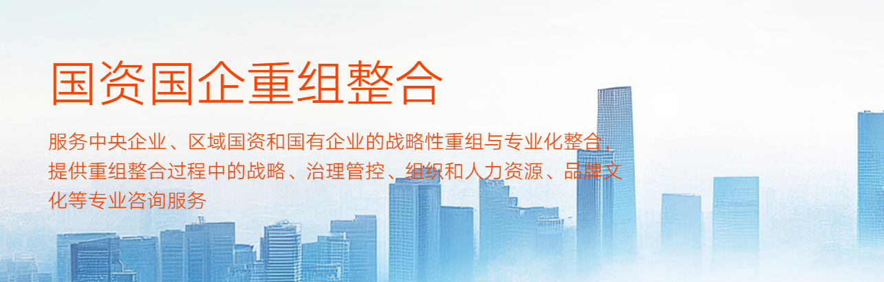 重组整合咨询 重组整合咨询