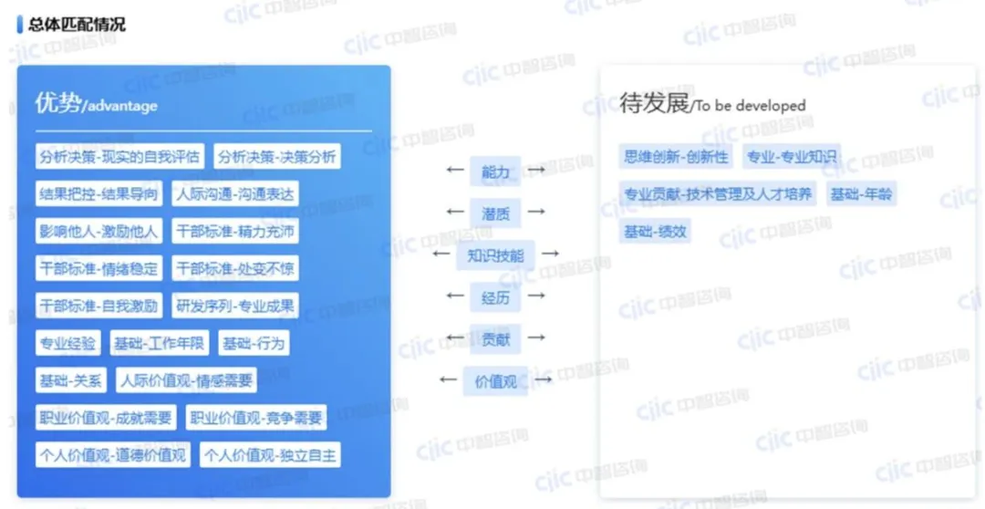人才优势-待发展领域智能盘点
