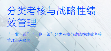 分类考核与战略性绩效管理