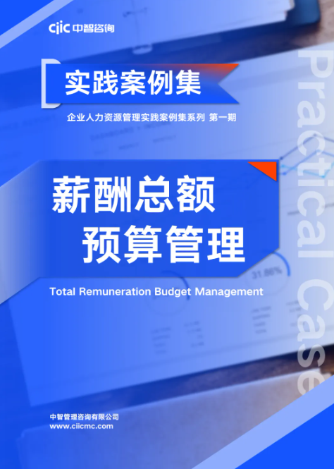 大型集团薪酬体系设计方案,大型集团薪酬体系设计方案案例