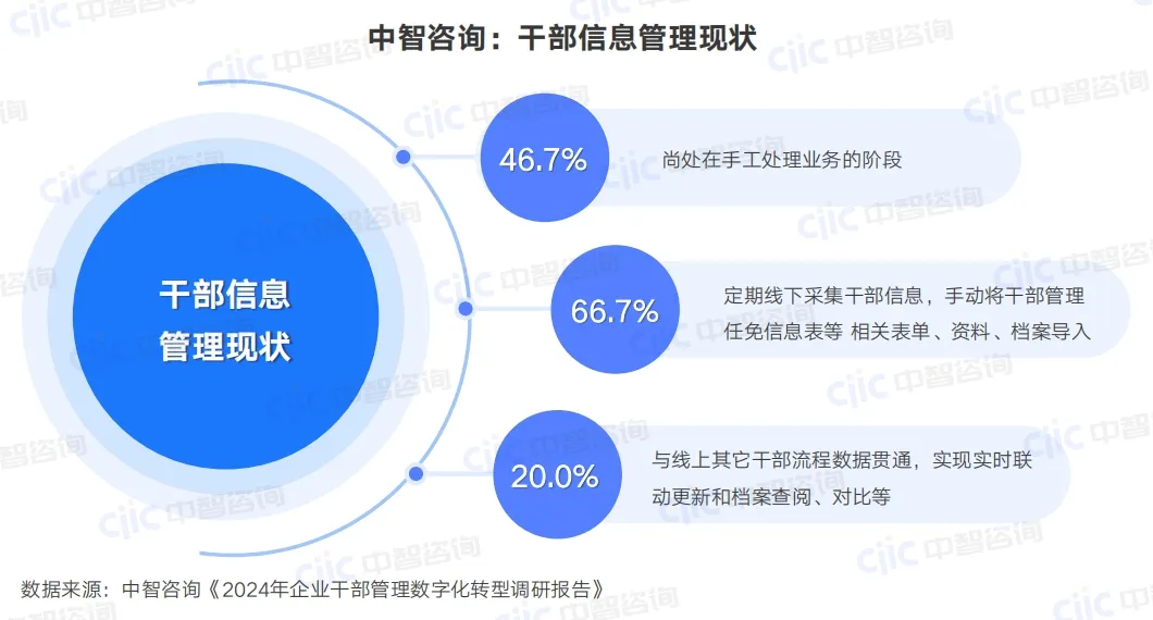 人力资源管理咨询,年轻干部培养咨询,年轻干部培养培训，人力资源数字化，干部管理平台，数字化人才管理