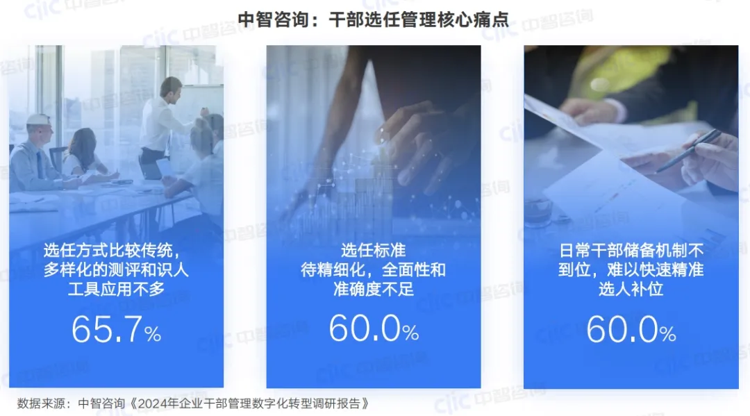 人力资源管理咨询,年轻干部培养咨询,年轻干部培养培训，人力资源数字化，干部管理平台，数字化人才管理