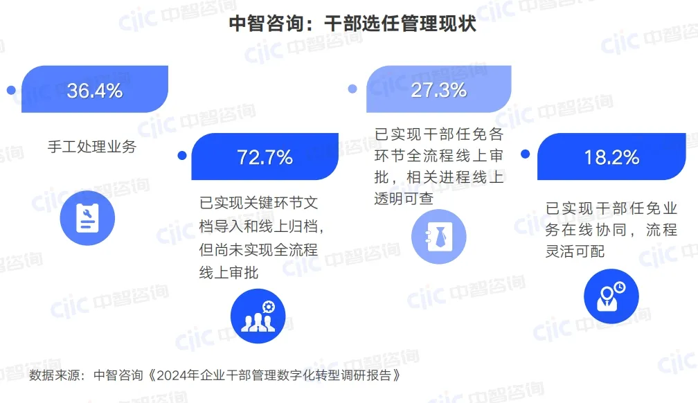 人力资源管理咨询,年轻干部培养咨询,年轻干部培养培训，人力资源数字化，干部管理平台，数字化人才管理