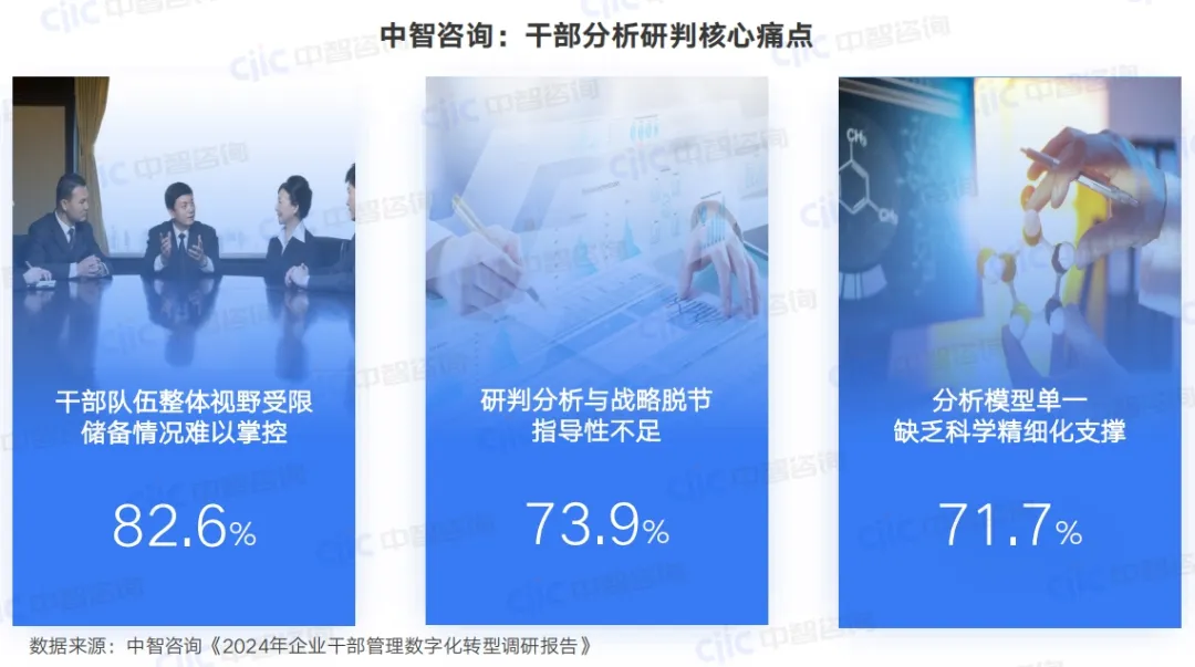 人力资源管理咨询,年轻干部培养咨询,年轻干部培养培训，人力资源数字化，干部管理平台，数字化人才管理