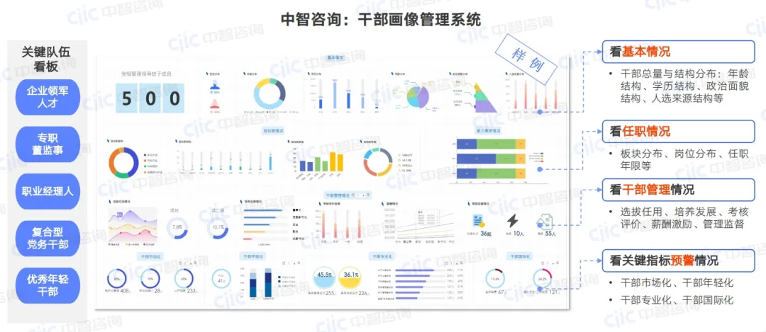 人力资源管理咨询,年轻干部培养咨询,年轻干部培养培训，人力资源数字化，干部管理平台，数字化人才管理
