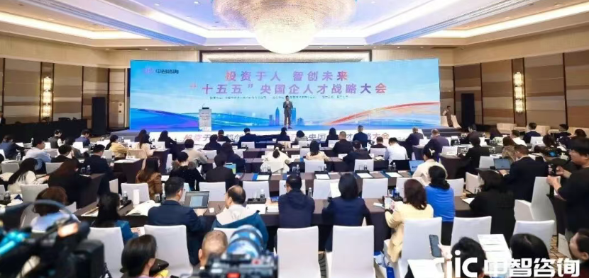 人才人力资源,十五五央国企人才战略