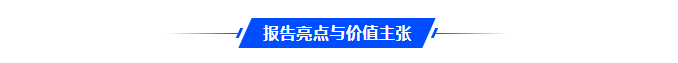报告亮点与价值主张