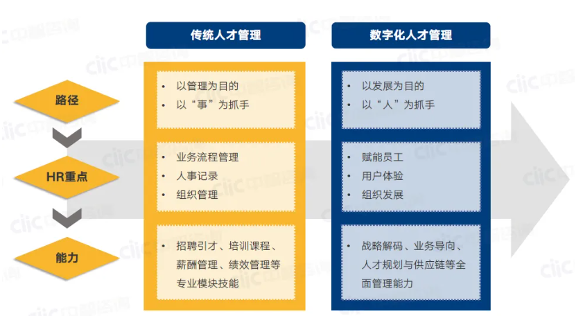 人才培养方案