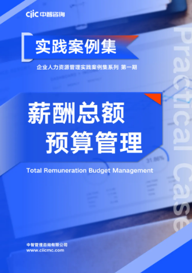 大型集团薪酬体系设计方案